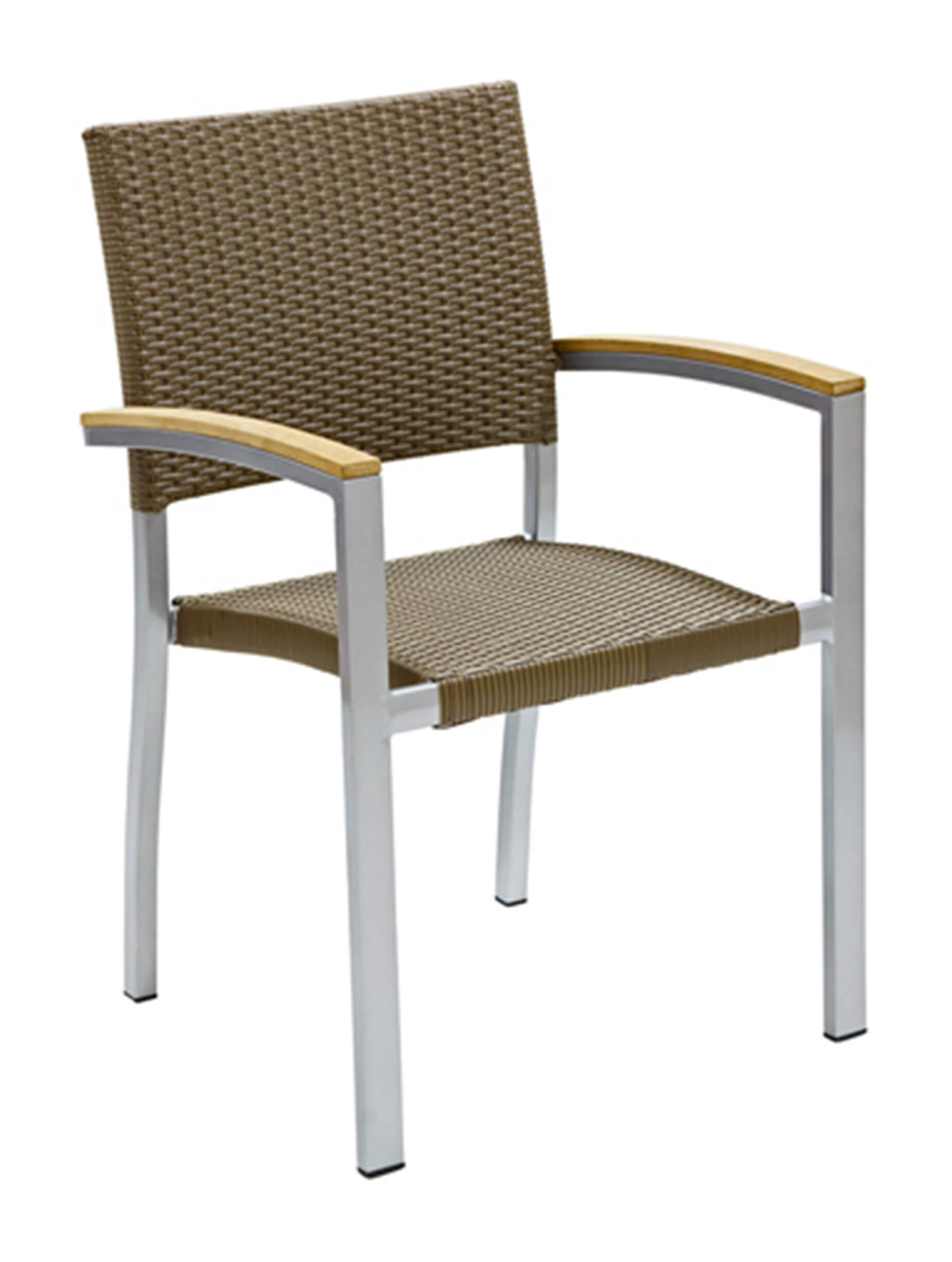 Cenon Silver Castana