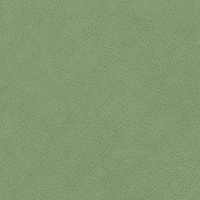 2954 Möbelstoff "UTTARIO VELVET", B:140cm, Meterware