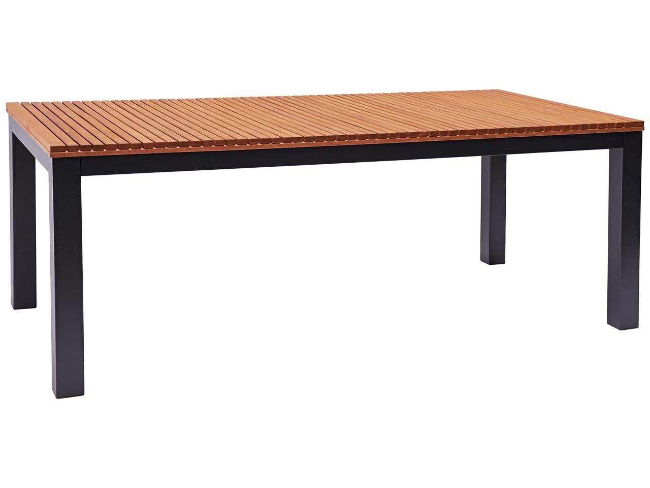 Berrissimo-200x100cm Gartenmöbel Set 9-tlg. 1 Tisch 200x100 und 8 Stühle